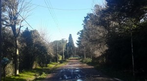 calle juan cruz varela