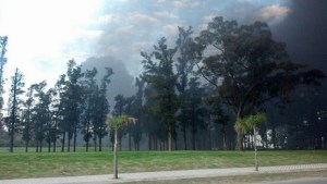 incendio en el predio municipal