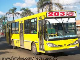 linea 203