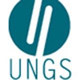ungs
