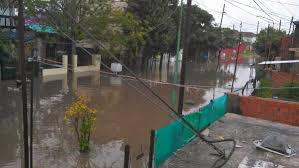 tigre inundado