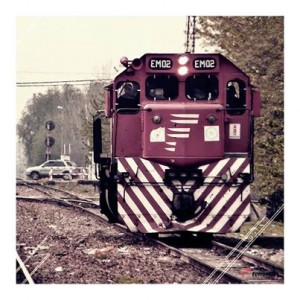 tren-belgrano-300x300