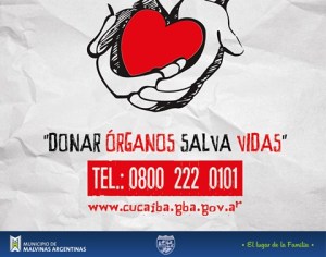 donar órganos